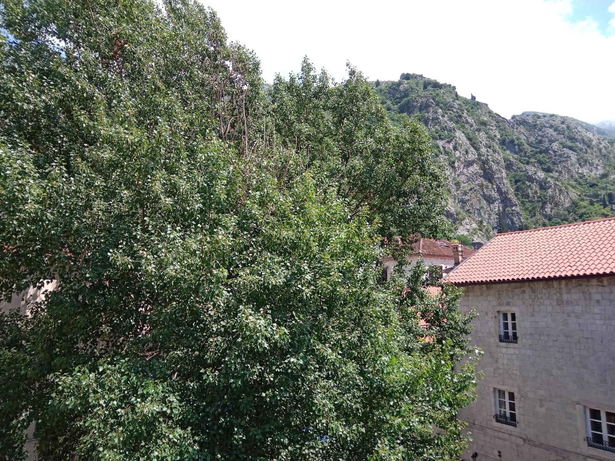 Apartamento Centar Starog Grada Kotor Exterior foto